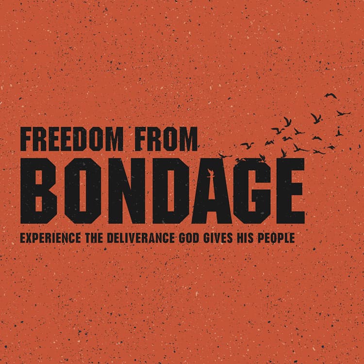 Freedom from Bondage Bible study guide, this year's Bible curriculum for Elmwood students